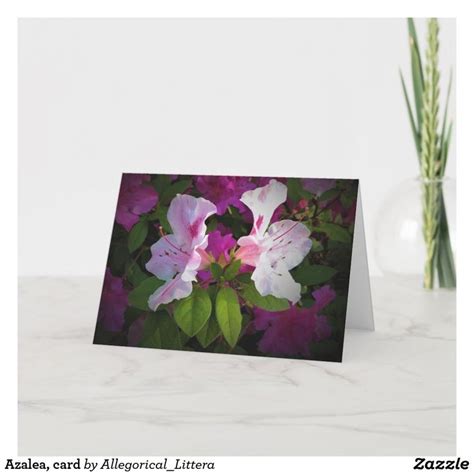 azala cards|azaleas picture cards.